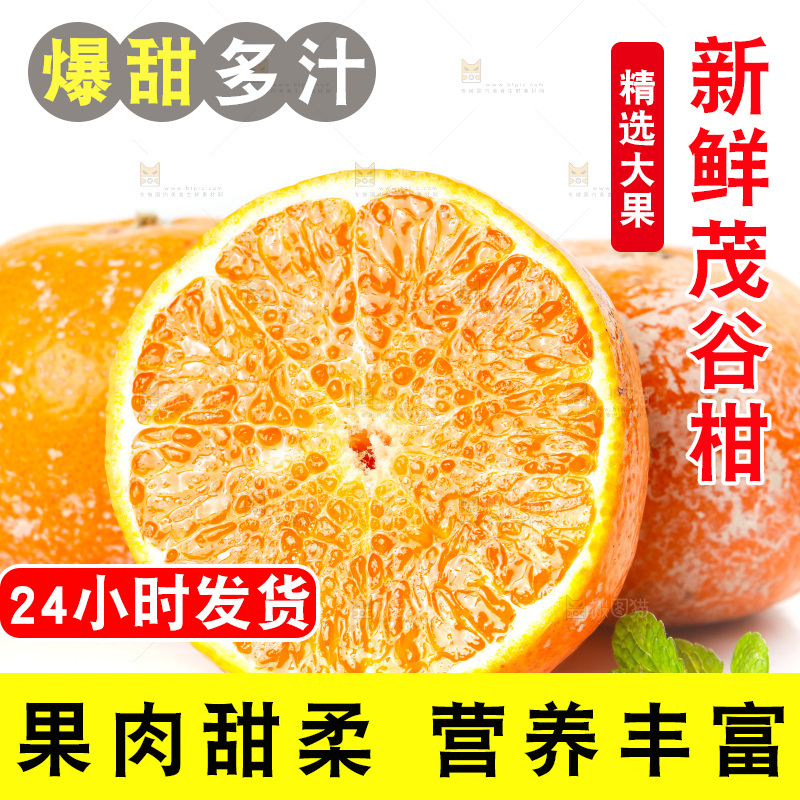 白底上的茂谷柑