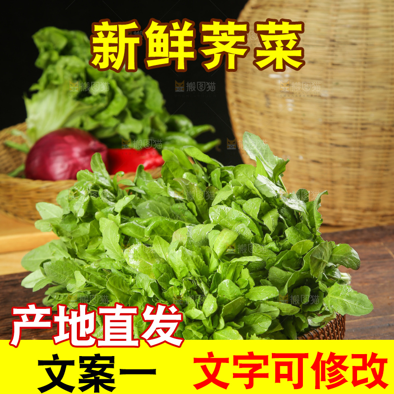 木底上的荠菜