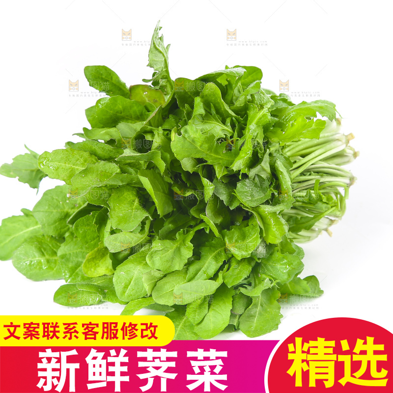 白底上的荠菜