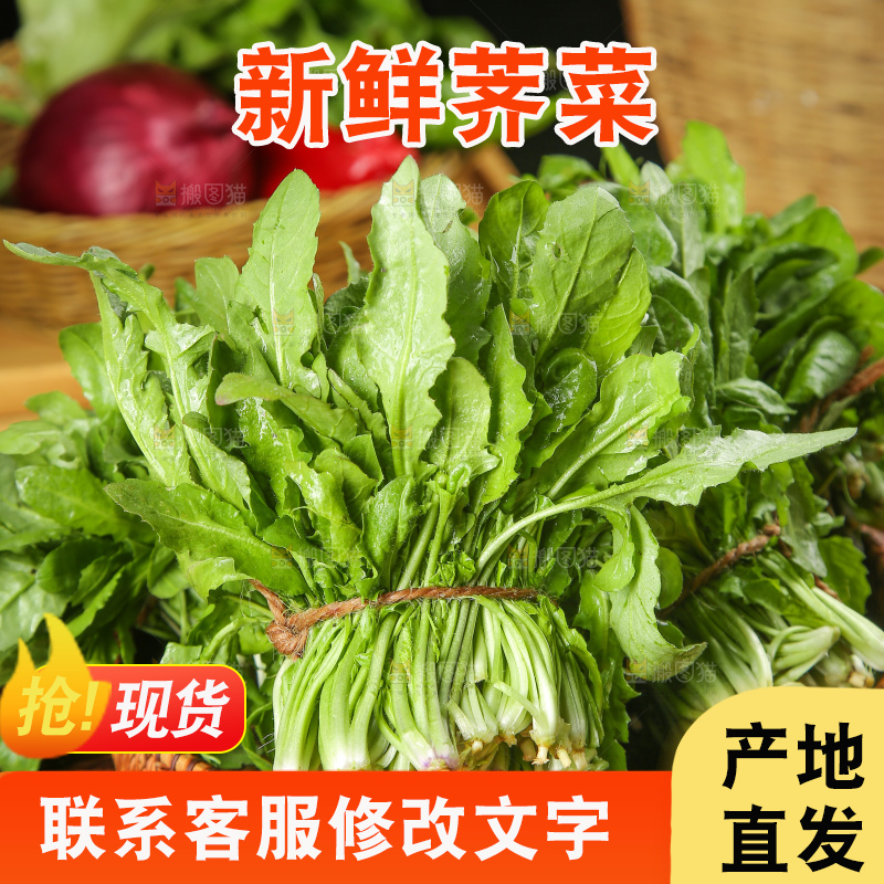 木底上的荠菜