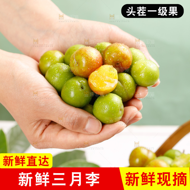浅底上的三月李