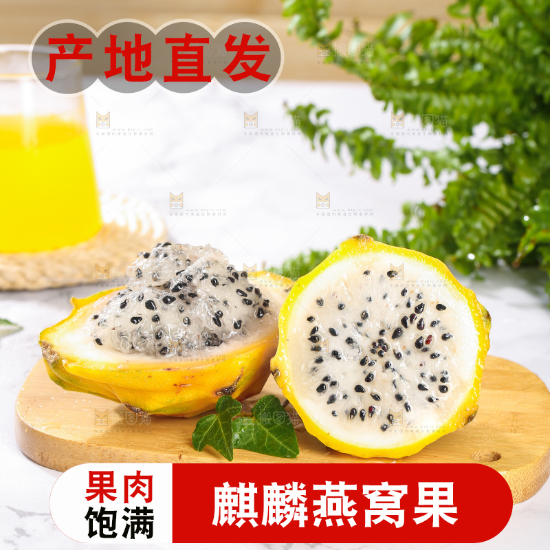 浅底上的燕窝果
