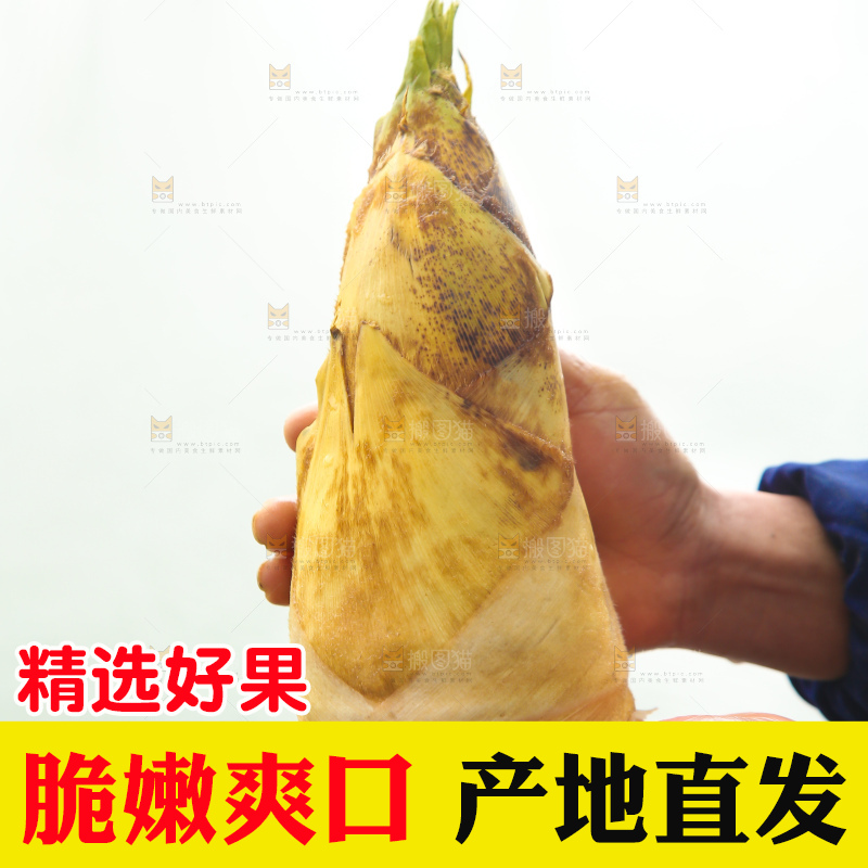 手里拿着冬笋