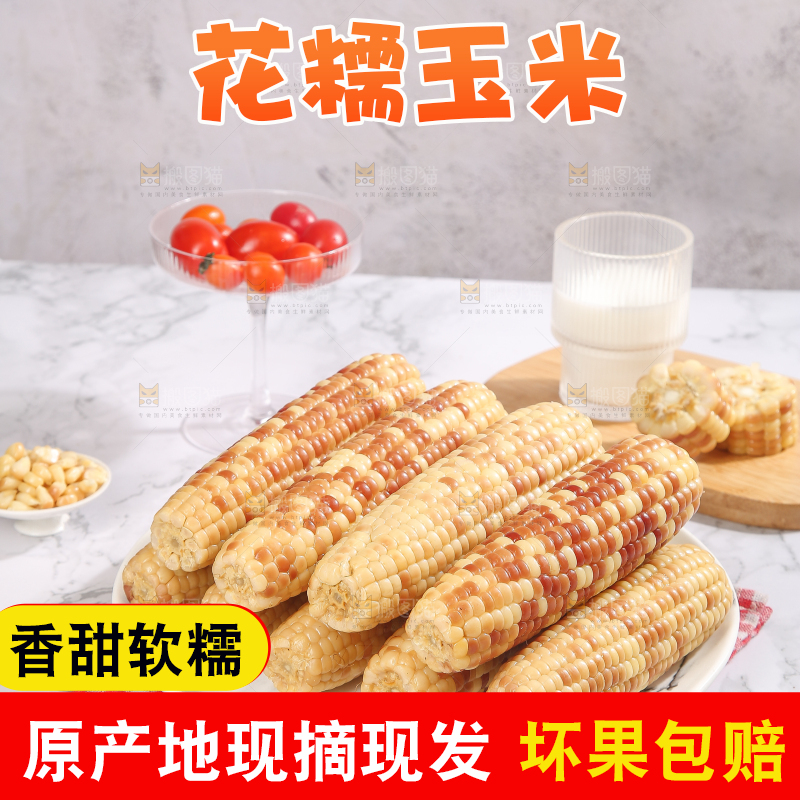 浅底上的花糯小玉米