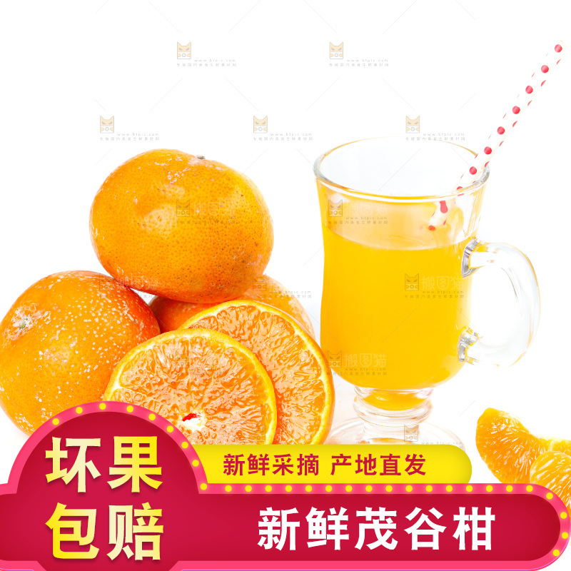 白底上的茂谷柑
