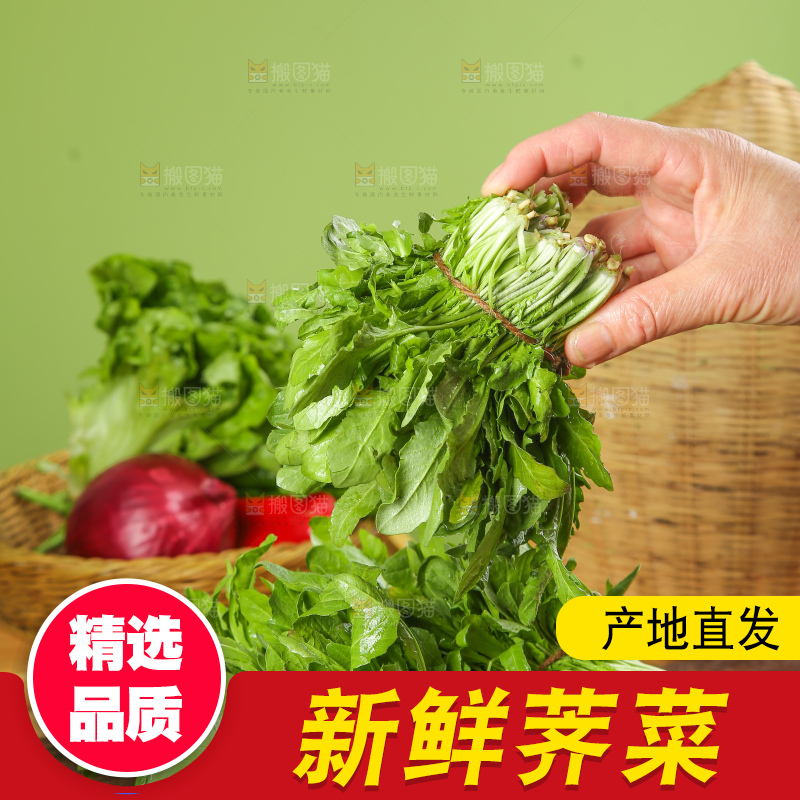 木底上的荠菜