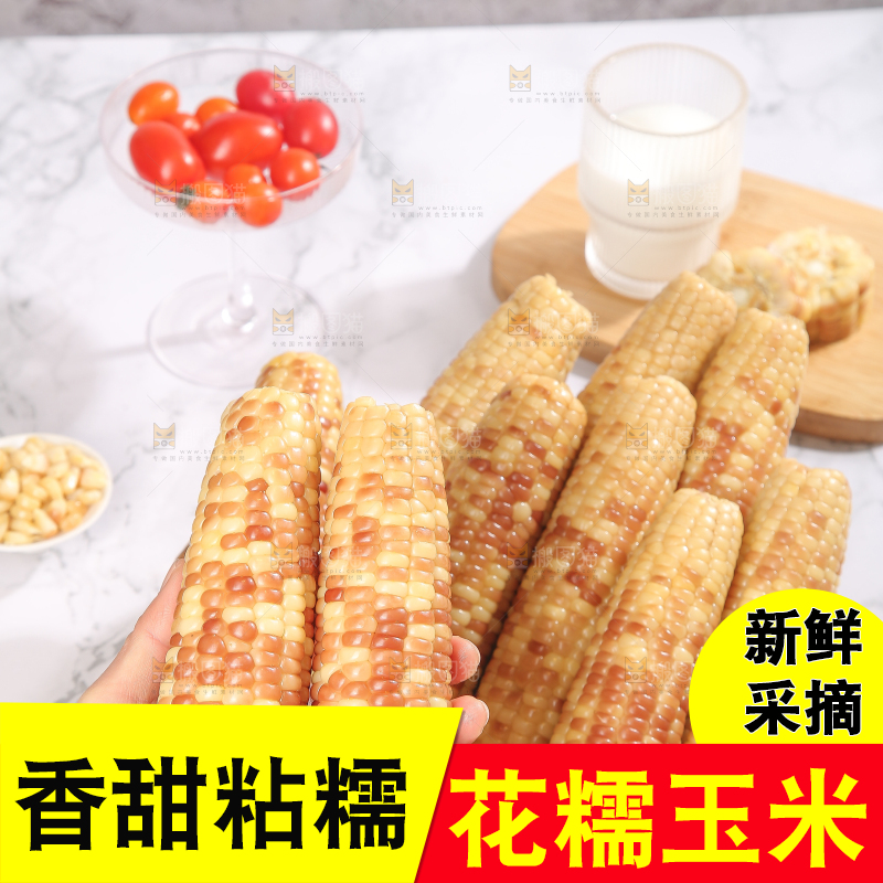 浅底上的花糯小玉米