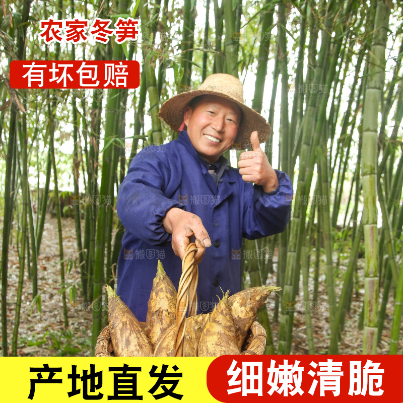 手里拿着冬笋