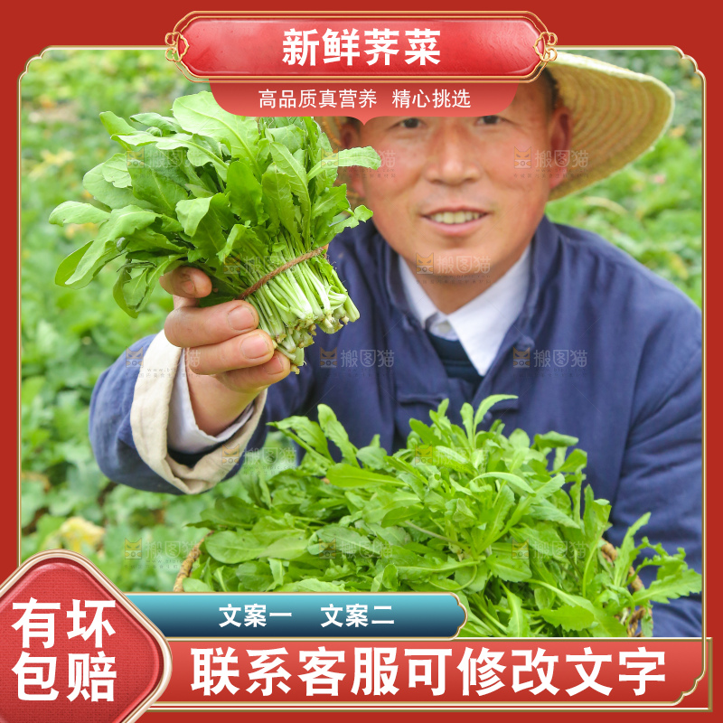 手里拿着地菜