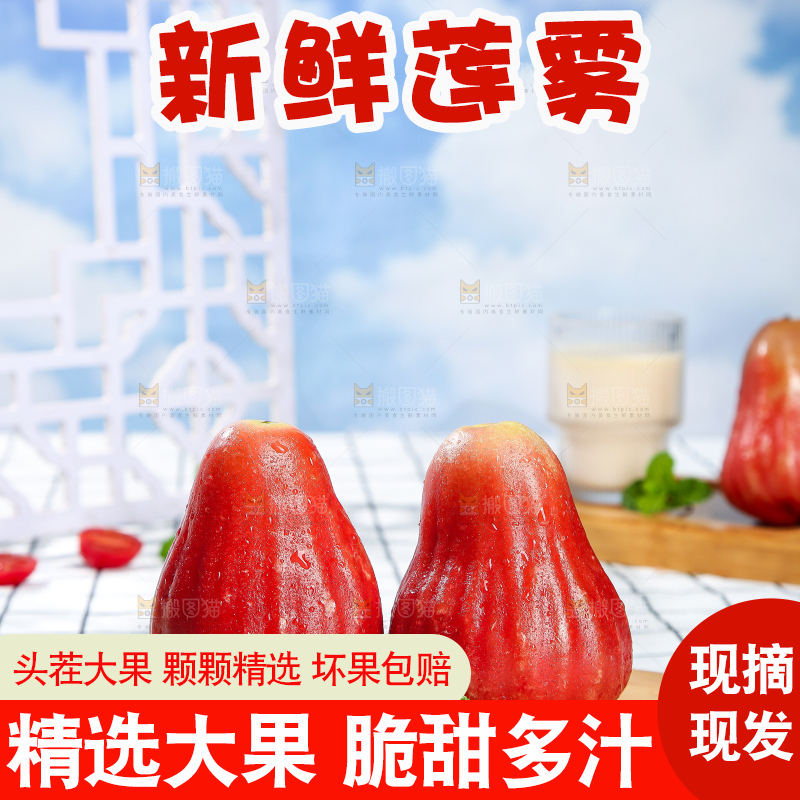 浅底上的莲雾