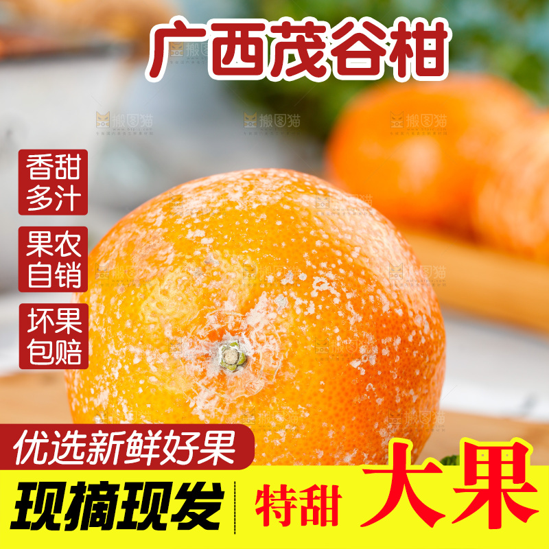 浅底上的茂谷柑
