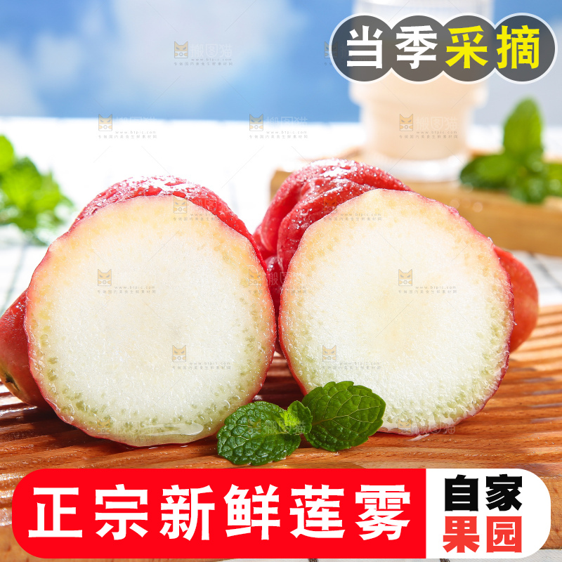 浅底上的莲雾