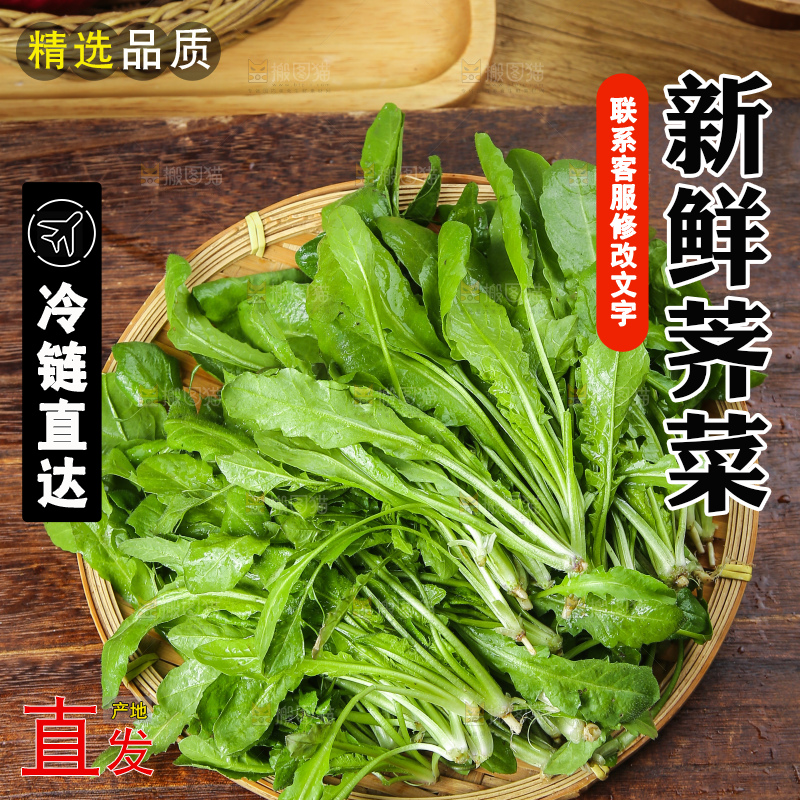 木底上的地菜