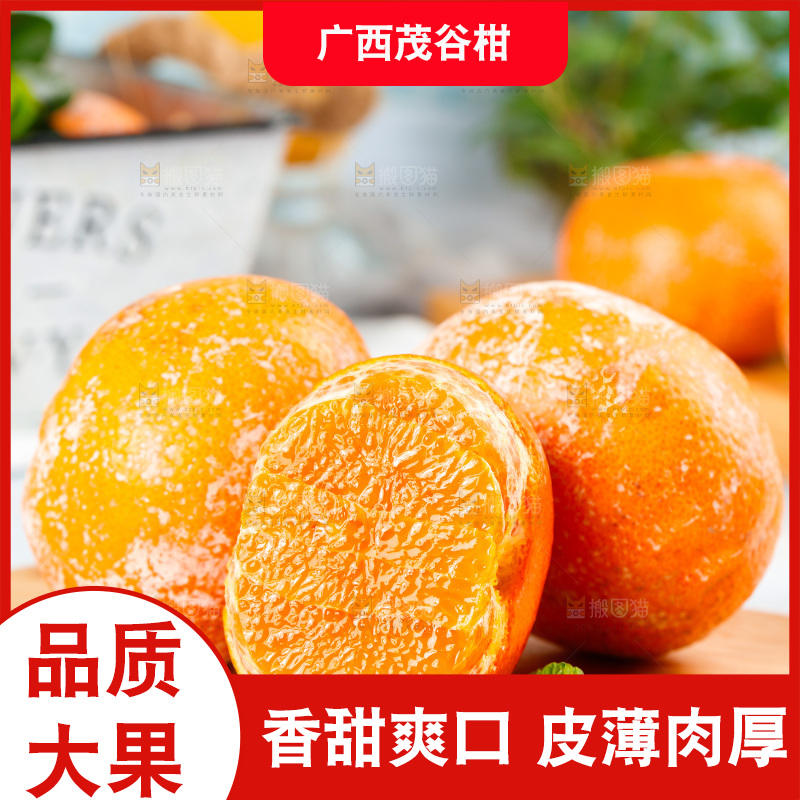 浅底上的茂谷柑