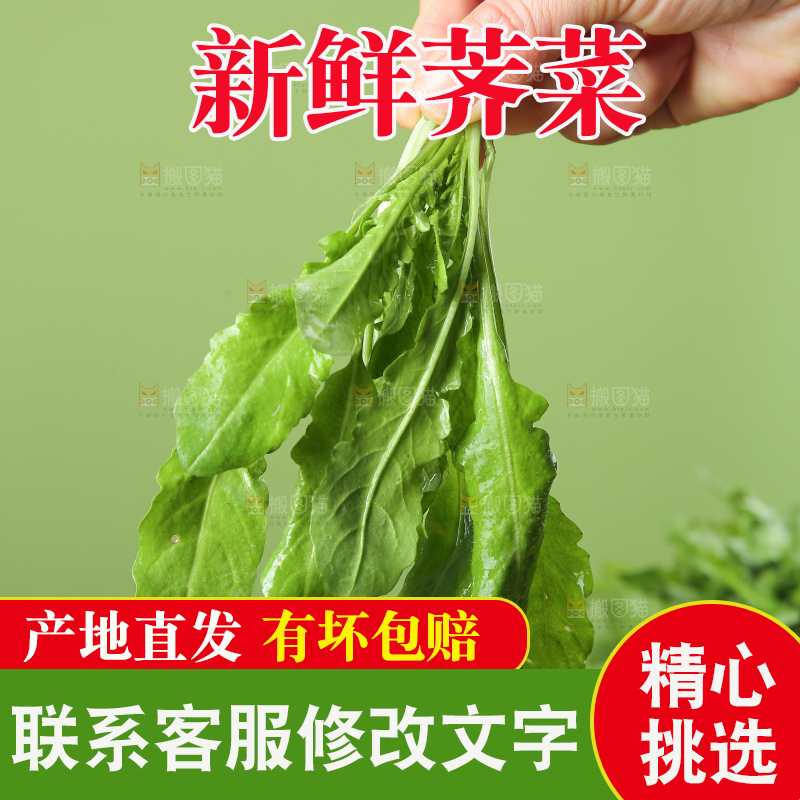 木底上的地菜