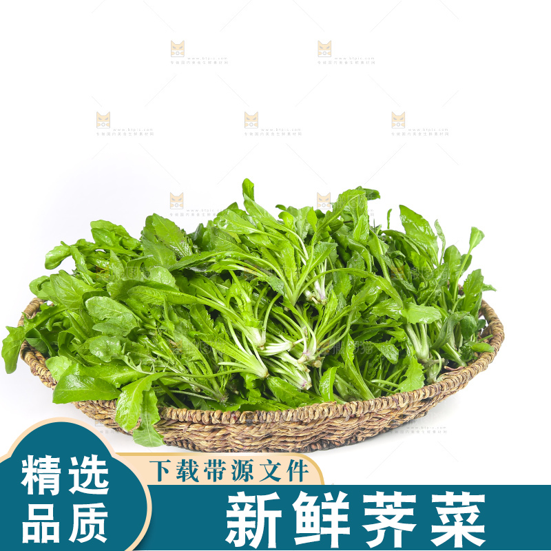 白底上的荠菜
