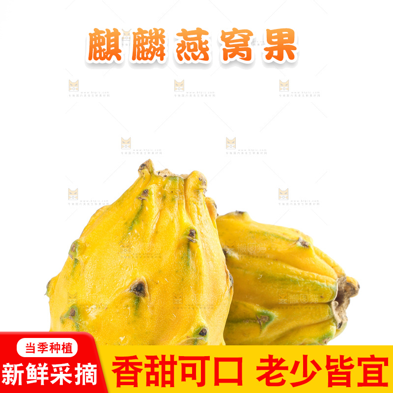 白底上的燕窝果