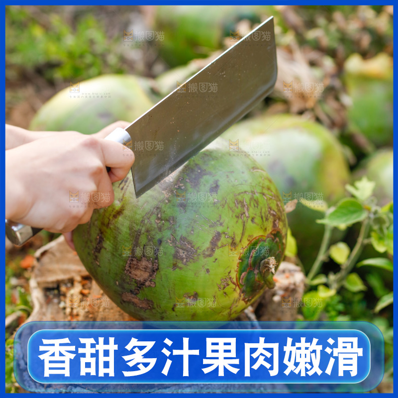 手里拿着椰青