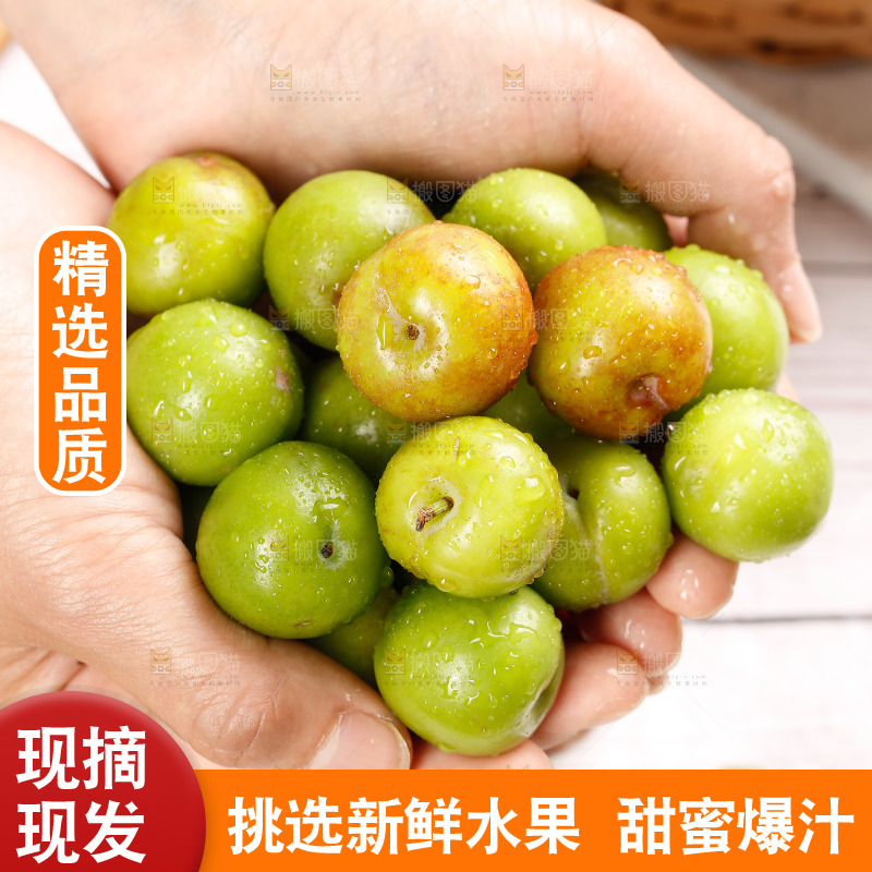 浅底上的三月李