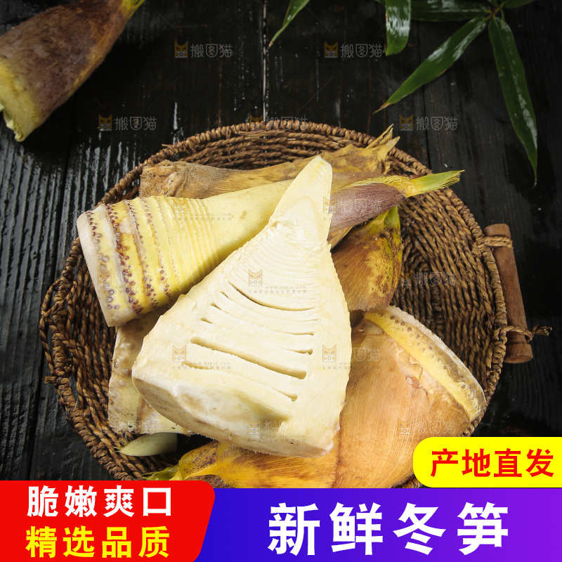 深底上的新鲜冬笋
