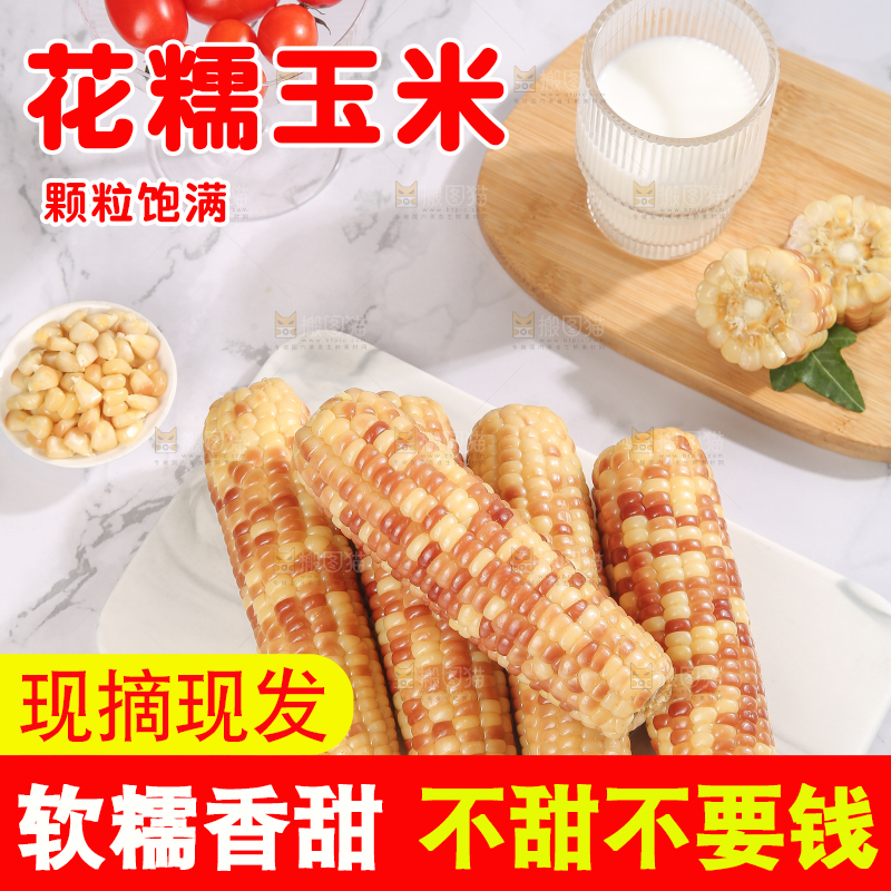 浅底上的花糯小玉米