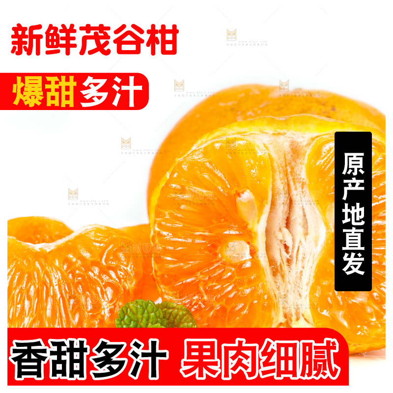 白底上的茂谷柑