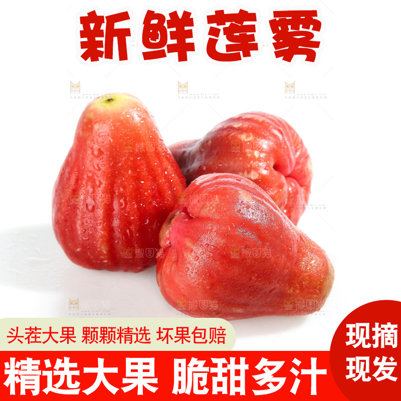 白底上的新鲜莲雾