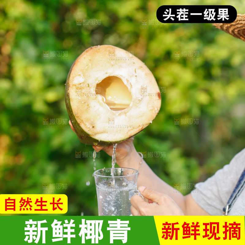 手里拿着椰青