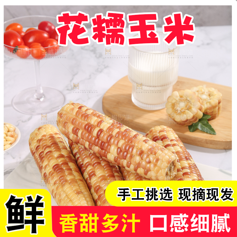 浅底上的花糯小玉米