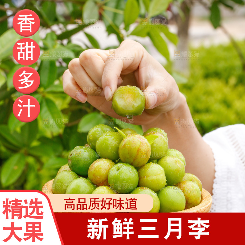 手里拿着三月李