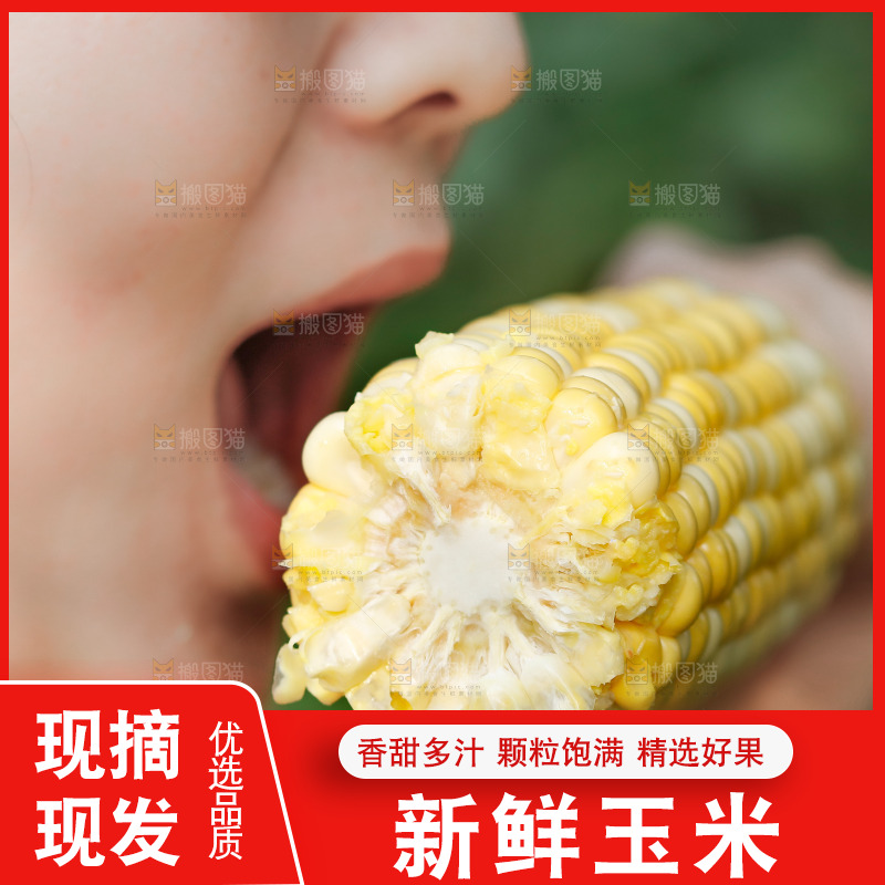 手里拿着甜玉米