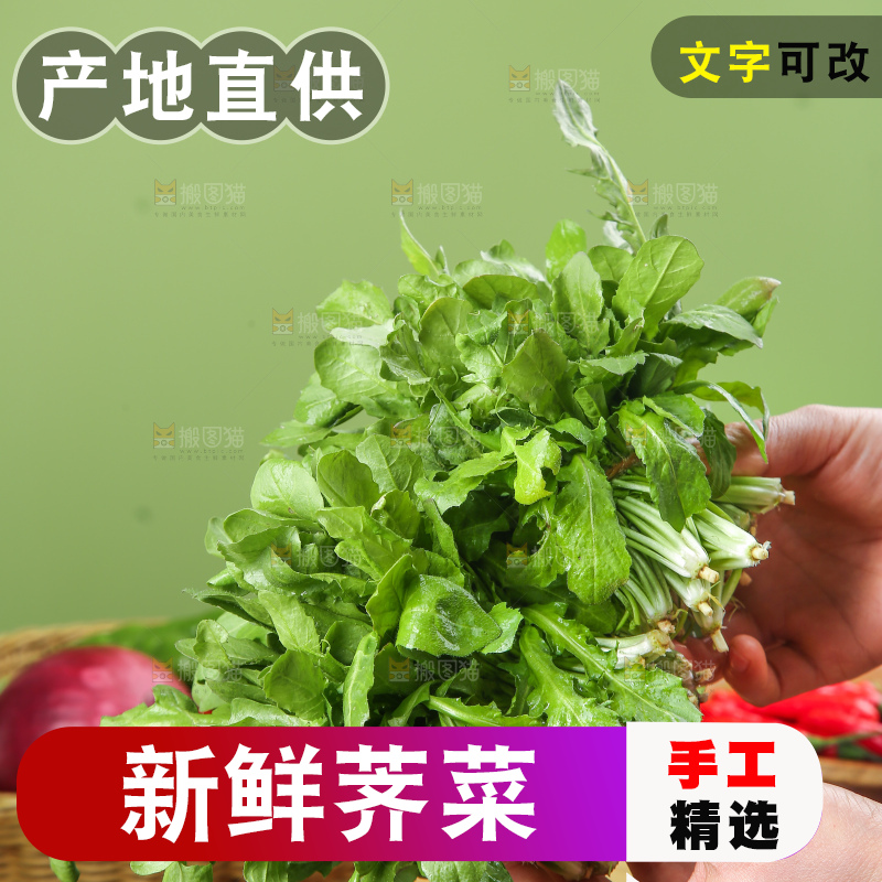 木底上的地菜
