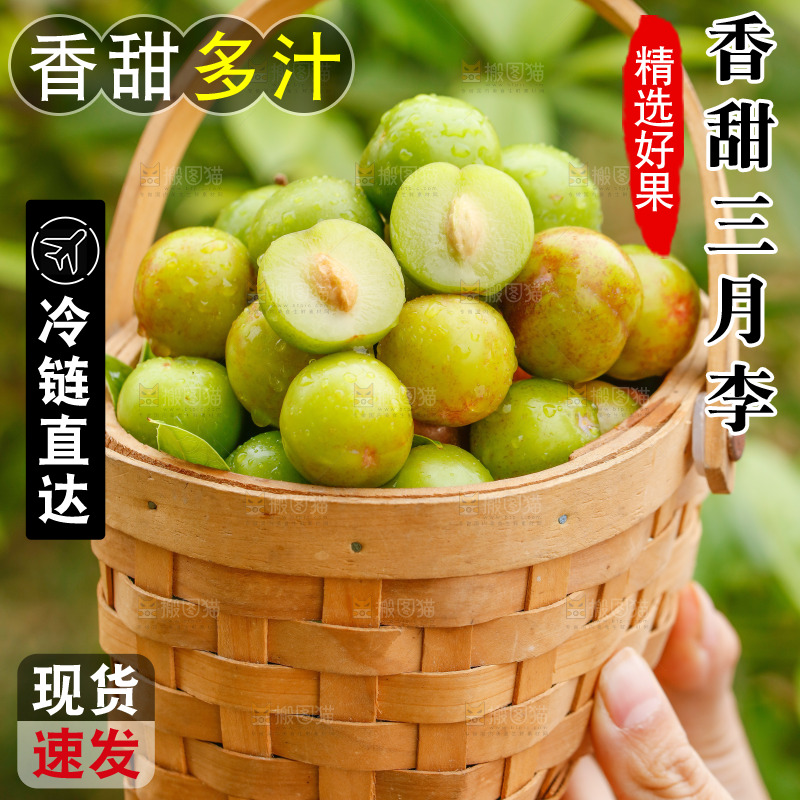 手里拿着三月李