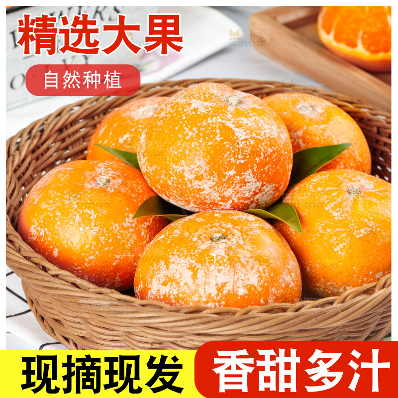 浅底上的茂谷柑