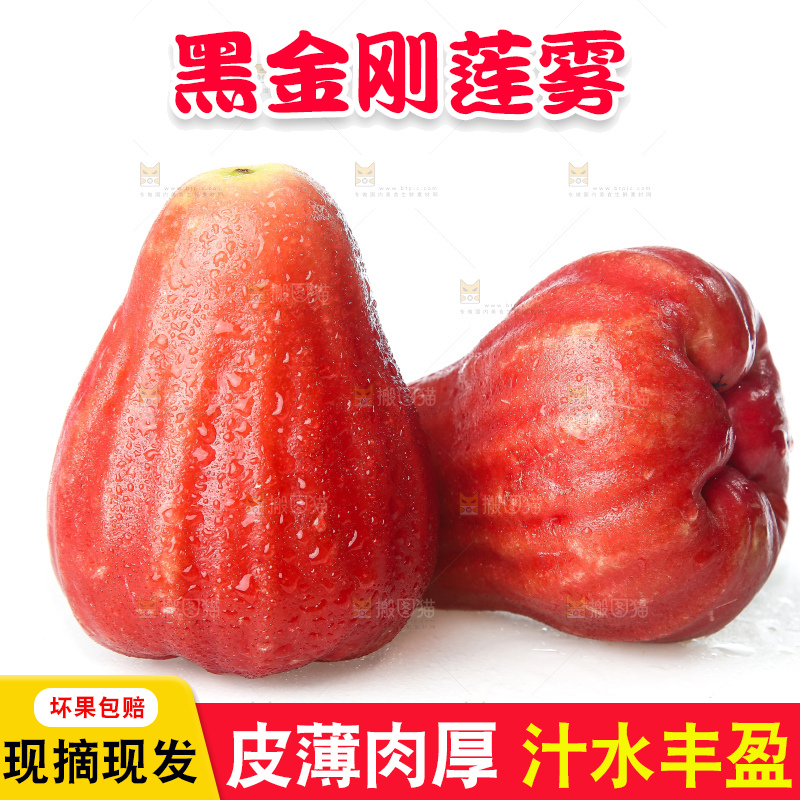 白底上的新鲜莲雾