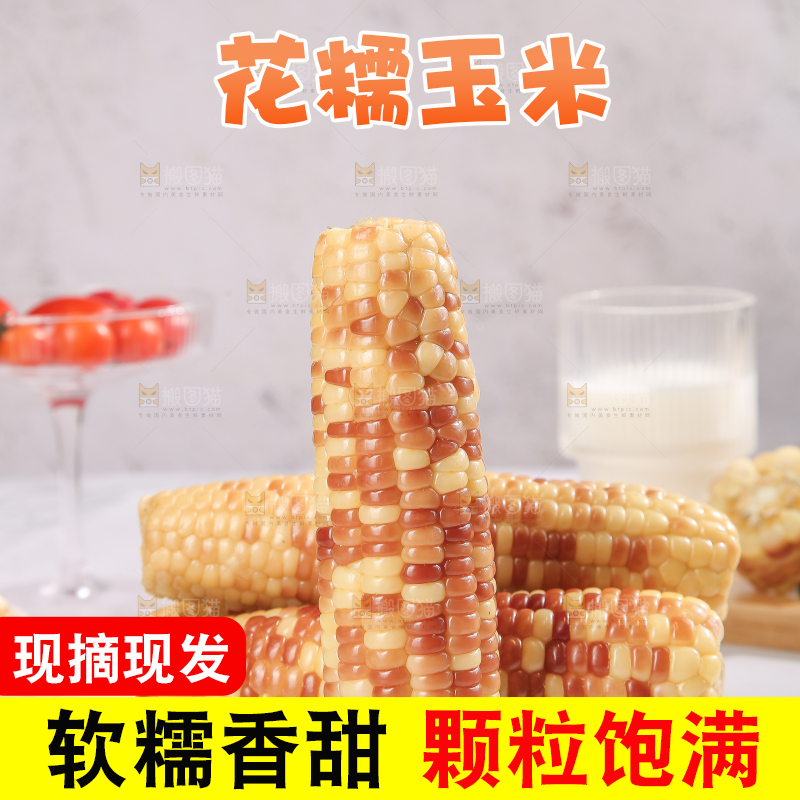 浅底上的花糯小玉米