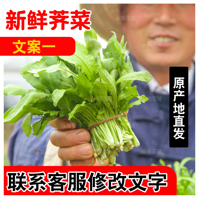 手里拿着荠菜