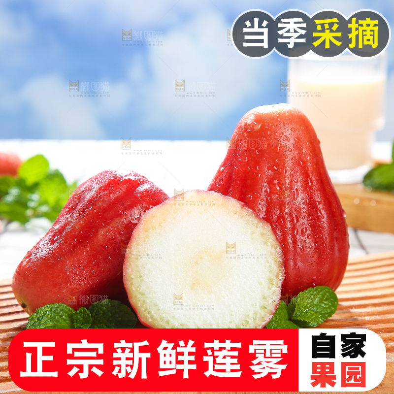 浅底上的莲雾