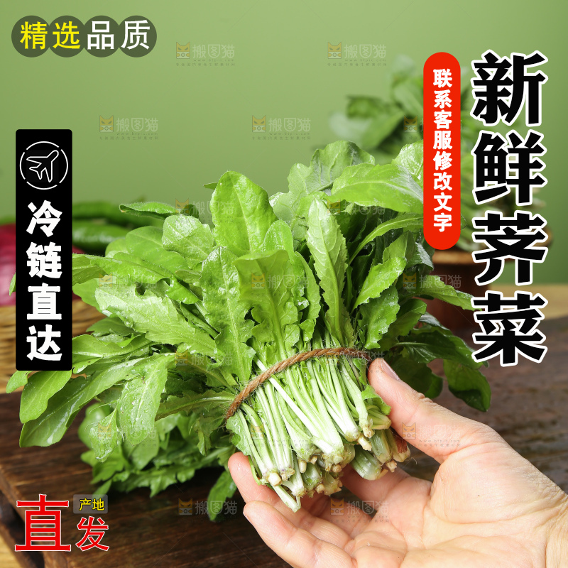 木底上的地菜