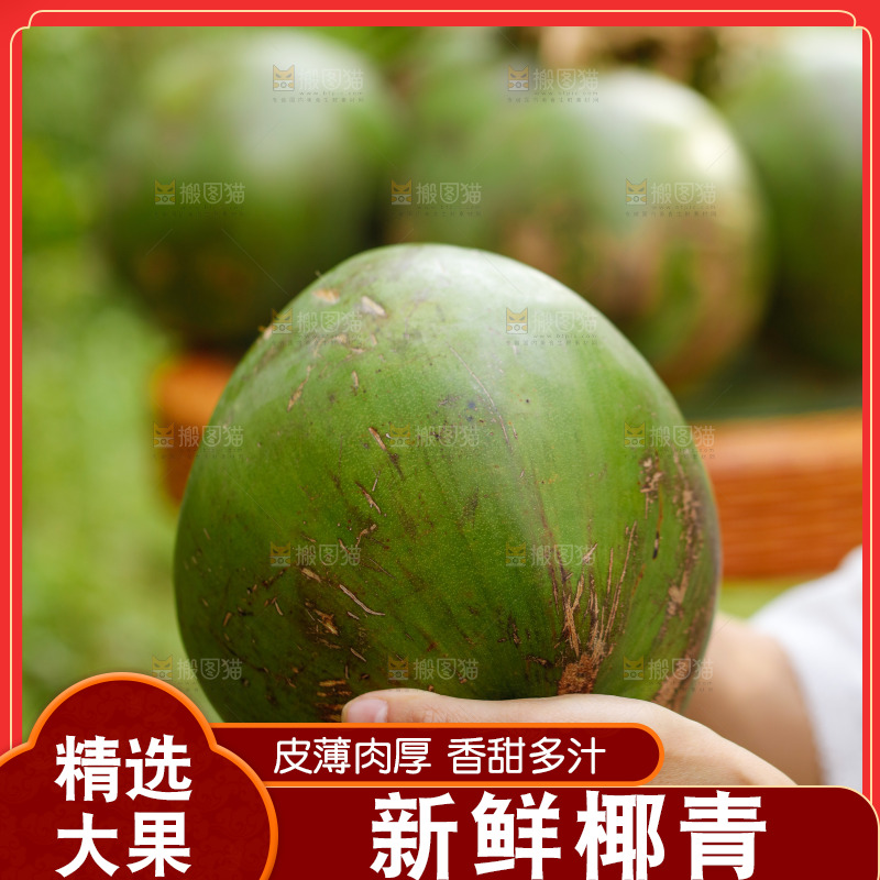 手里拿着椰青