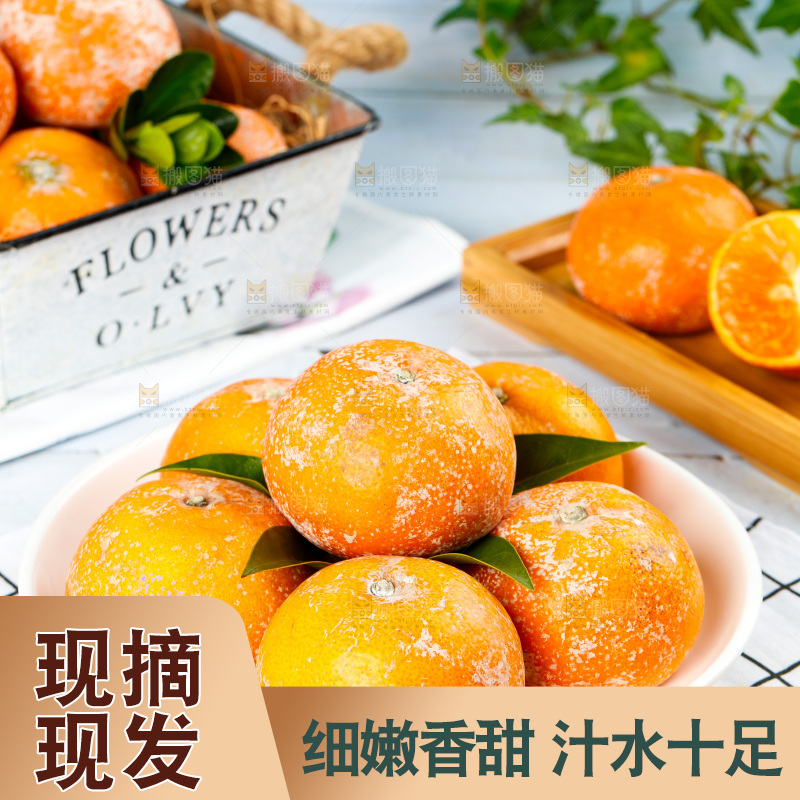 浅底上的茂谷柑