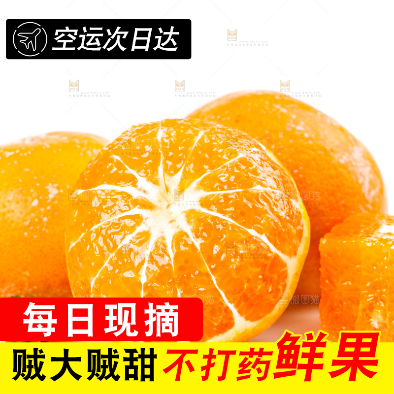 白底上的茂谷柑