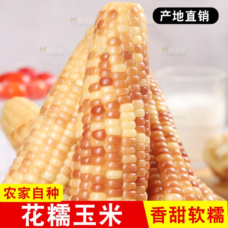 浅底上的花糯小玉米