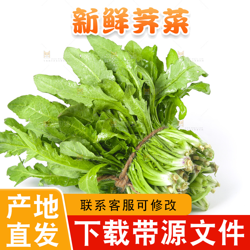 白底上的荠菜
