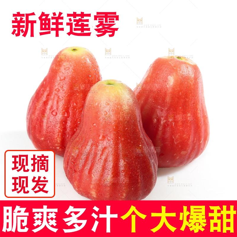 白底上的新鲜莲雾