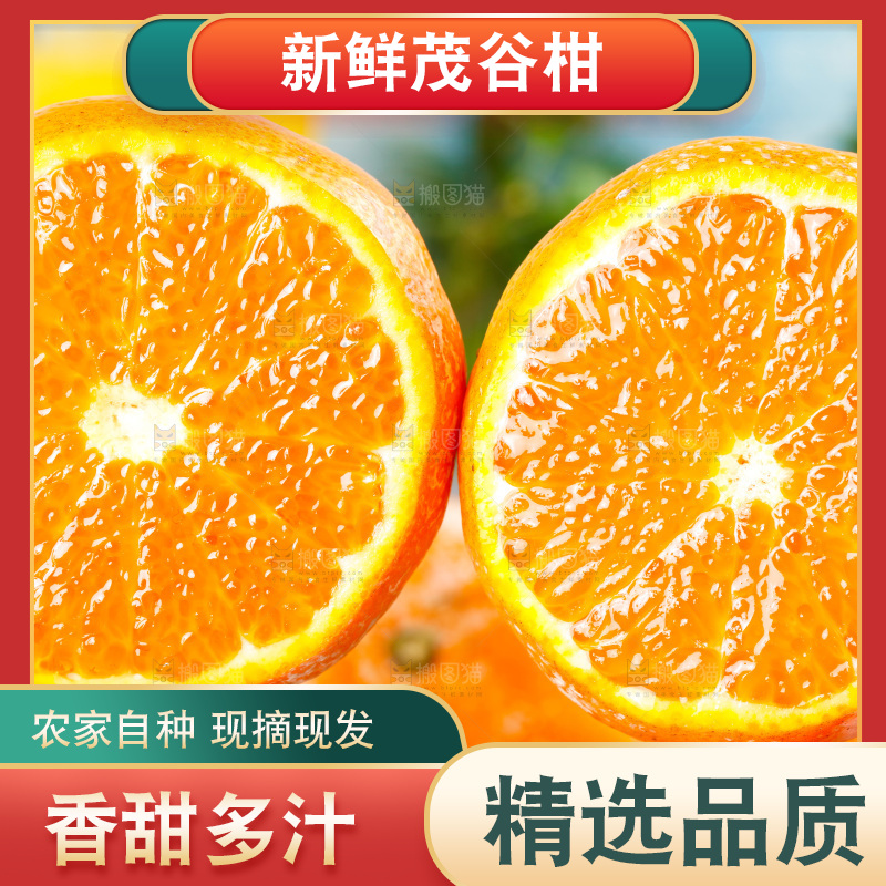 浅底上的茂谷柑