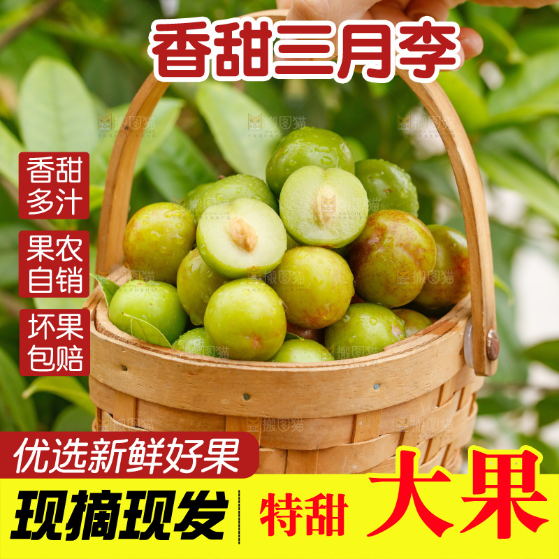 手里拿着三月李