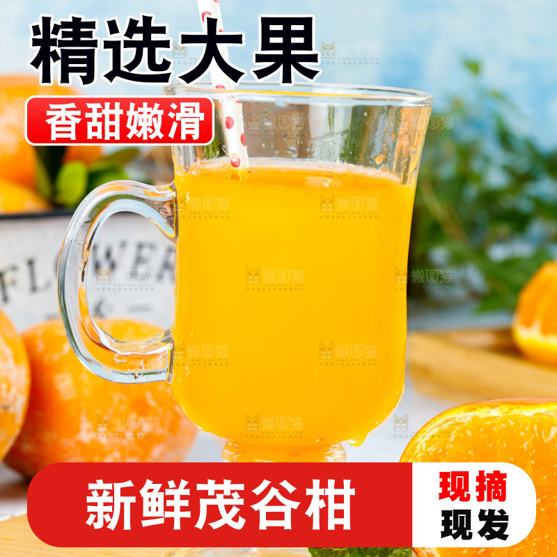 浅底上的茂谷柑