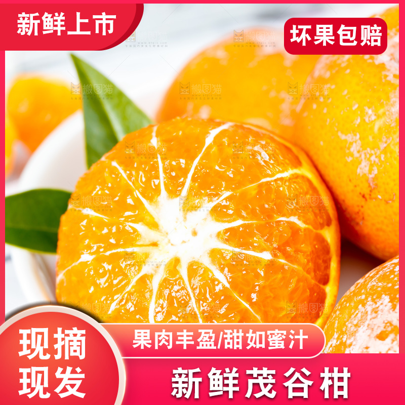 浅底上的茂谷柑