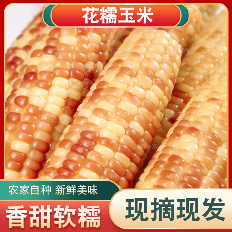 浅底上的花糯小玉米